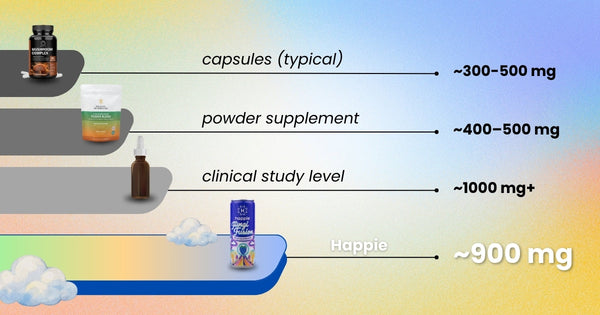Lion's Mane Drink Benefits: Why Functional Mushroom Beverages Are Your New Go-To